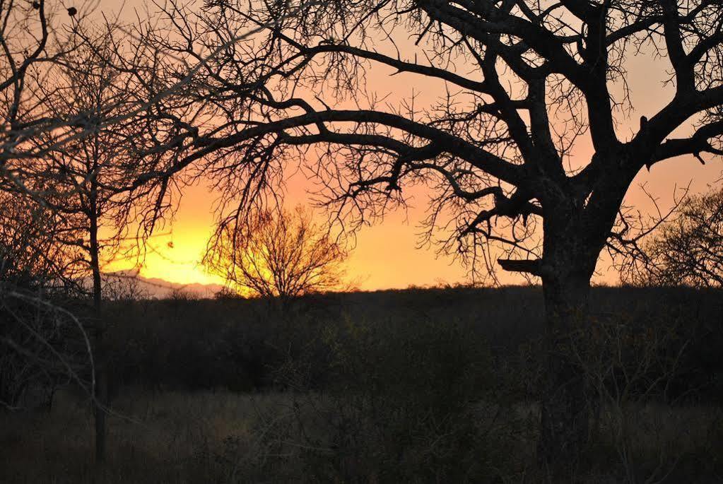 Maduma Boma Game Conservancy Hoedspruit Exterior foto